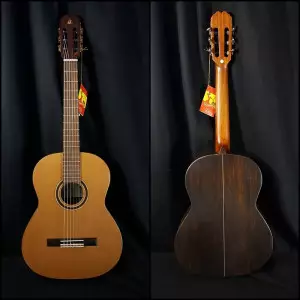 رنگبندی و تعمیر گیتار آدمیرا ایرنه